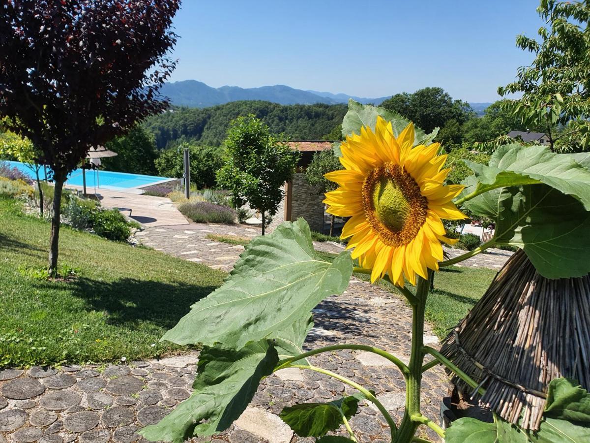 B&B Villa Angelina Rogaška Slatina Eksteriør billede